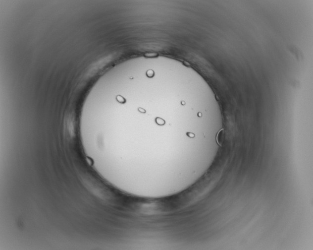 X0000113910068200910151426