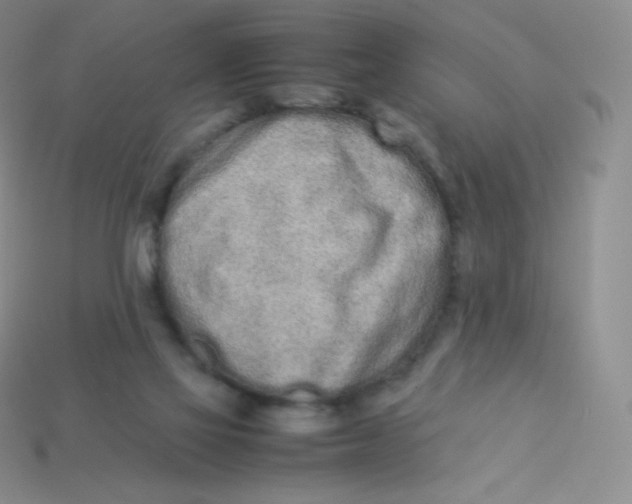 X0000113910069200910151426