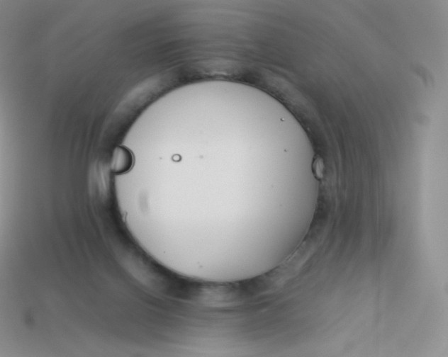 X0000113910070200910151426