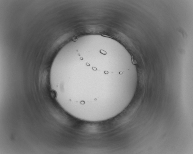 X0000113910071200910151426