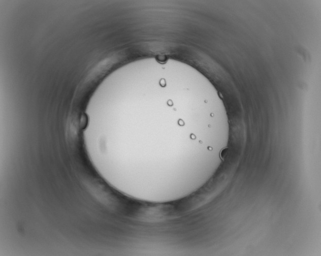 X0000113910072200910151426