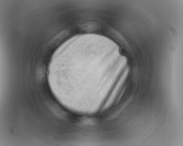 X0000113910073200910151426