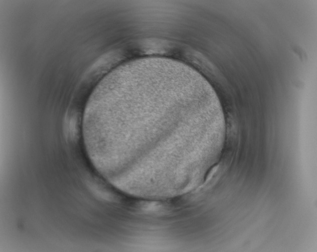 X0000113910074200910151427