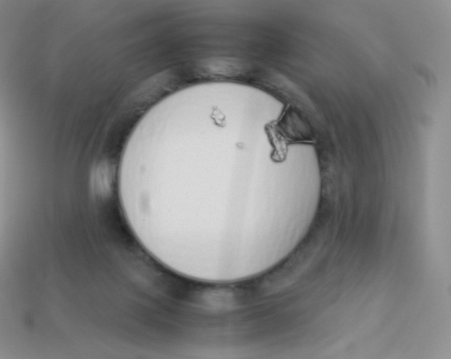 X0000113910075200910151427