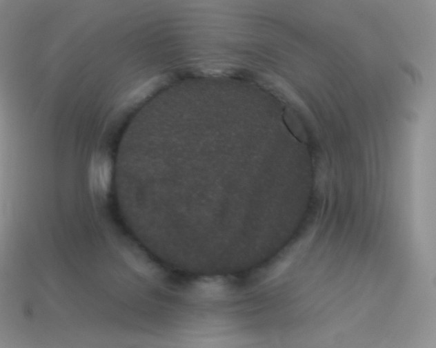 X0000113910076200910151427