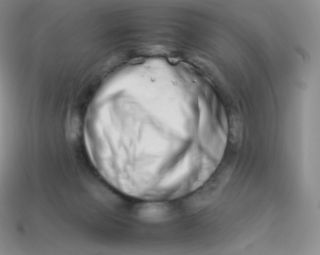 X0000113910077200910151427