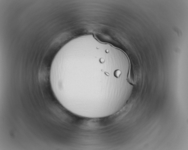 X0000113910078200910151427