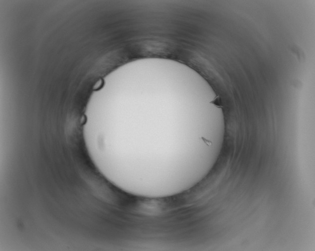 X0000113910079200910151427