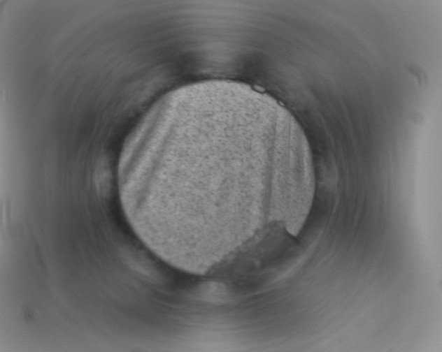 X0000113910080200910151427