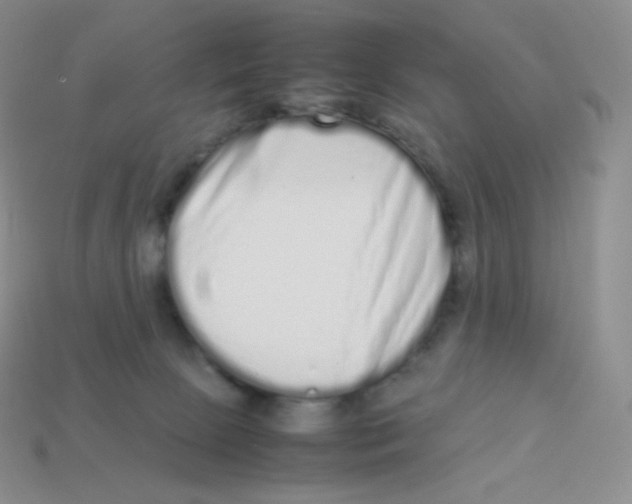 X0000113910081200910151427