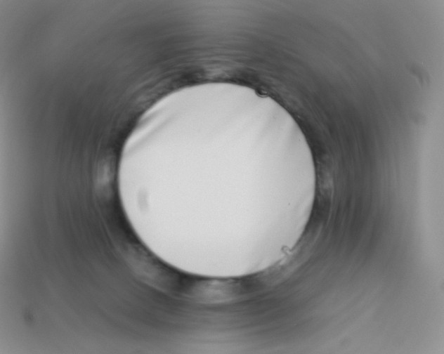 X0000113910082200910151427