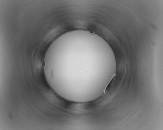 X0000113910084200910151427