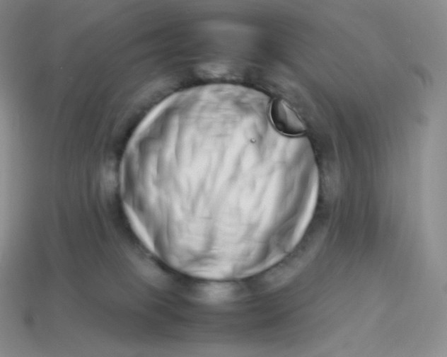 X0000113910085200910151427