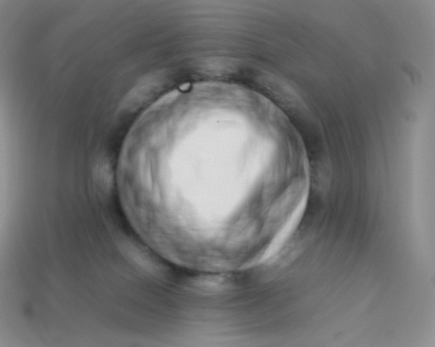 X0000113910086200910151427