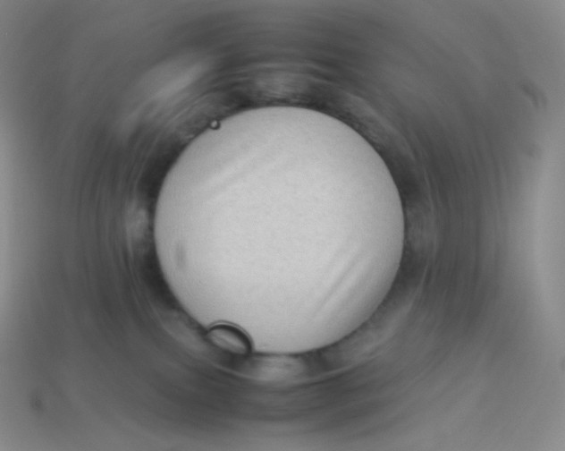 X0000113910087200910151427