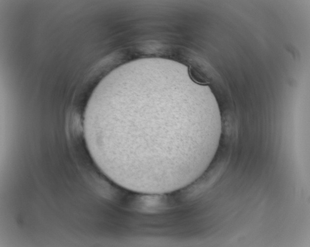 X0000113910089200910151427