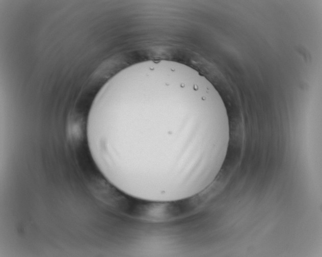 X0000113910090200910151427