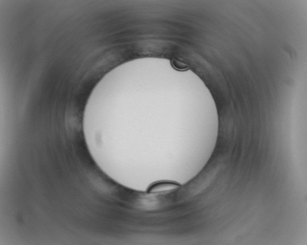 X0000113910091200910151427