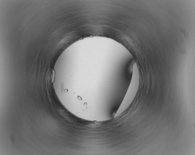 X0000113910092200910151427