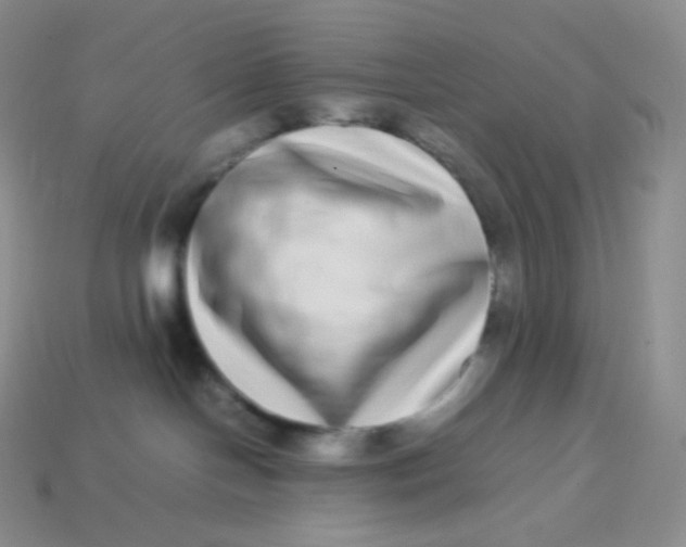 X0000113910094200910151427