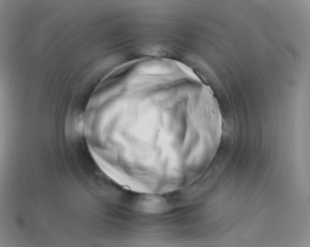 X0000113910095200910151427