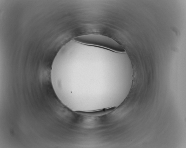 X0000113910096200910151427