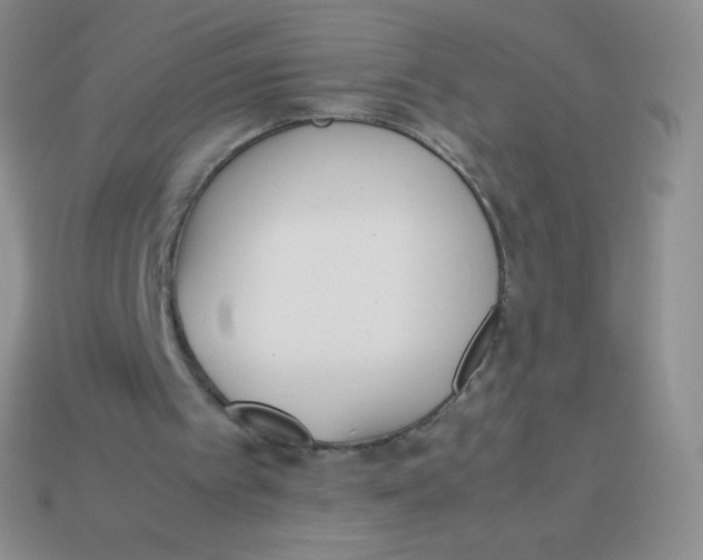 X0000113910097200910151426