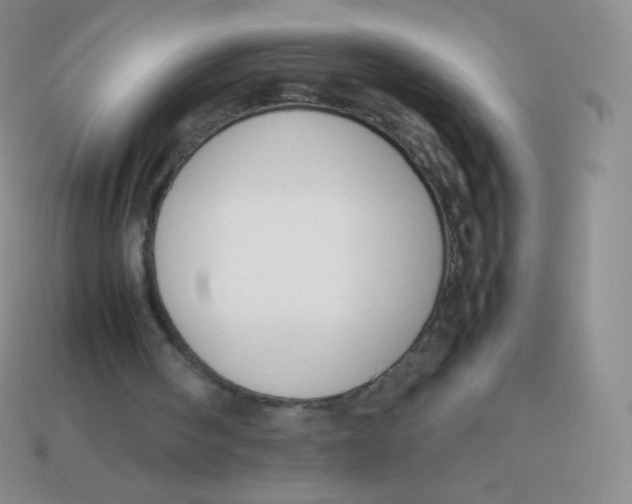 X0000113910098200910151426