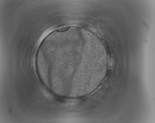 X0000113910099200910151426