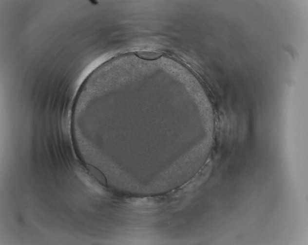 X0000113910100200910151426