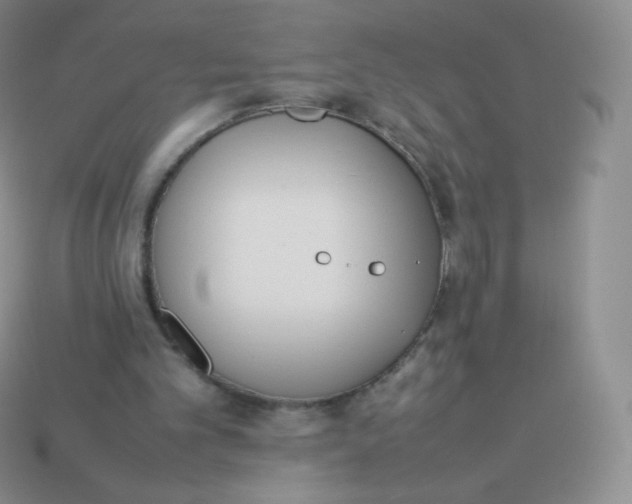 X0000113910101200910151426