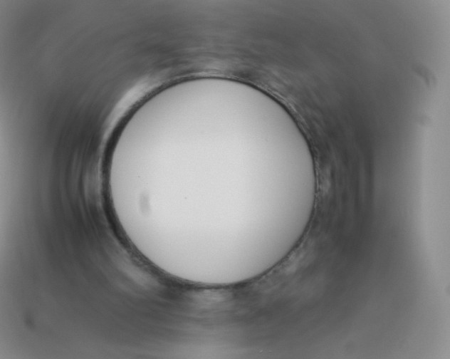 X0000113910102200910151426