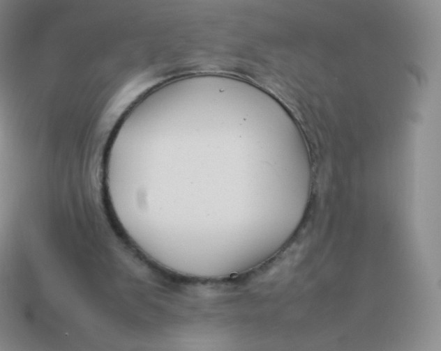 X0000113910103200910151426