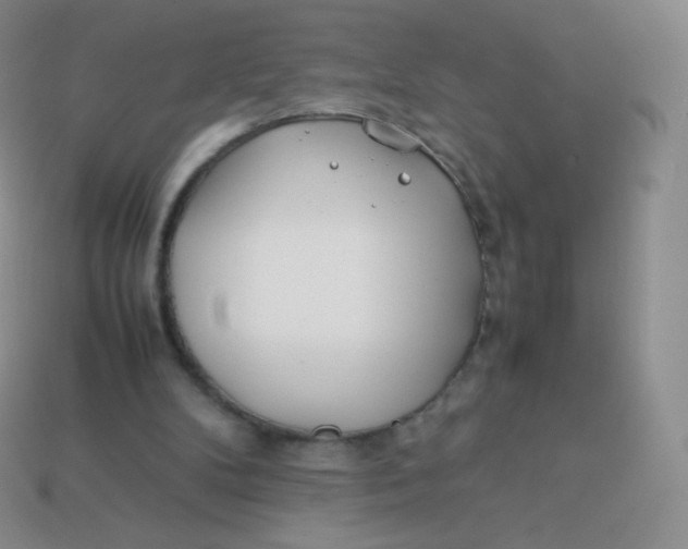 X0000113910104200910151426