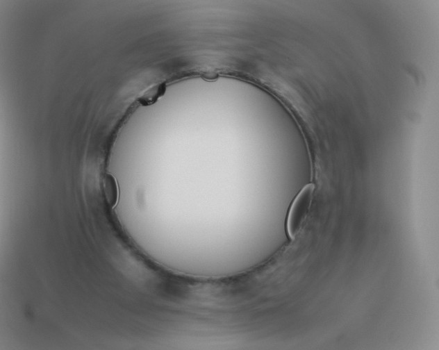 X0000113910105200910151426