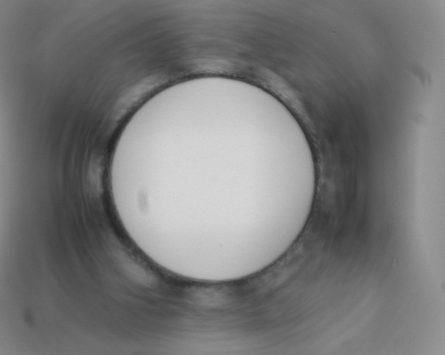 X0000113910106200910151426