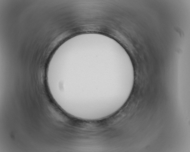 X0000113910107200910151426