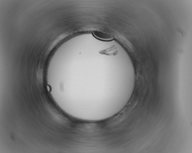 X0000113910108200910151426