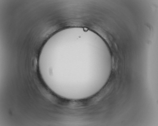 X0000113910109200910151426