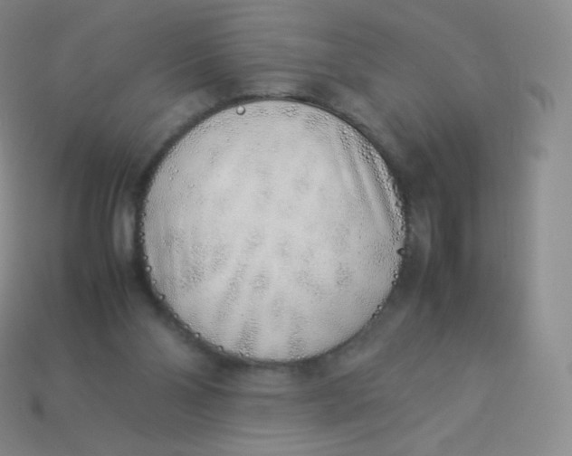 X0000113910110200910151426