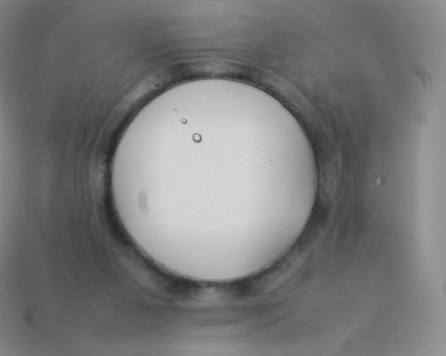 X0000113910111200910151426