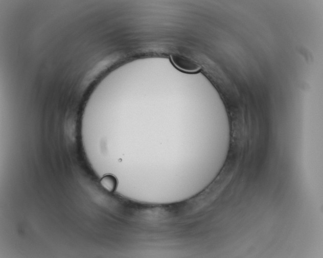 X0000113910112200910151426