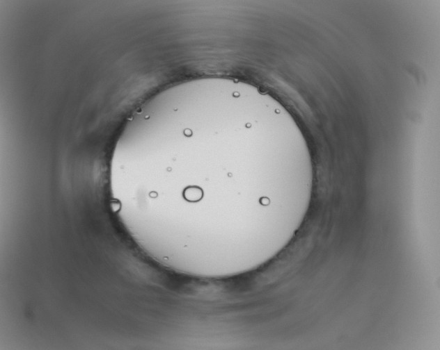 X0000113910113200910151426