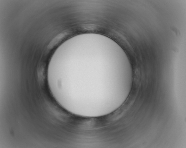 X0000113910116200910151426