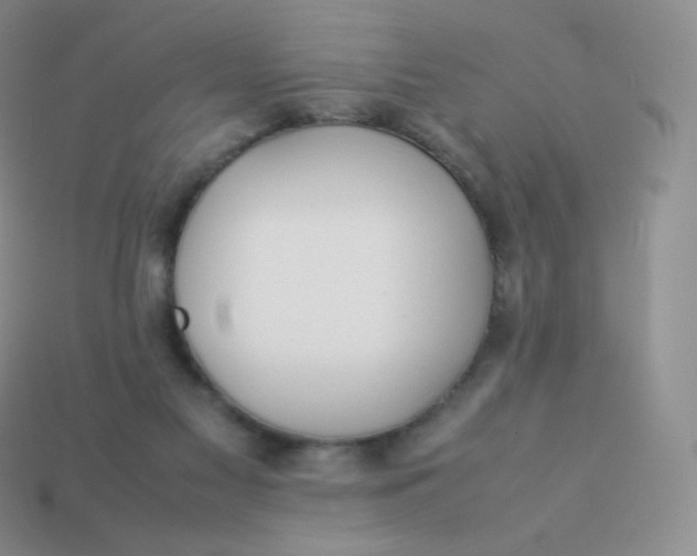 X0000113910117200910151426