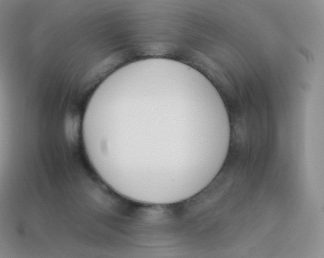 X0000113910118200910151426