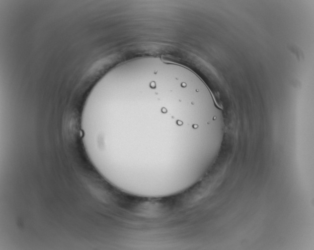 X0000113910119200910151426