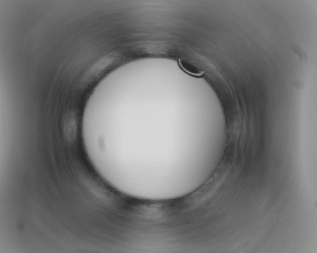 X0000113910120200910151426