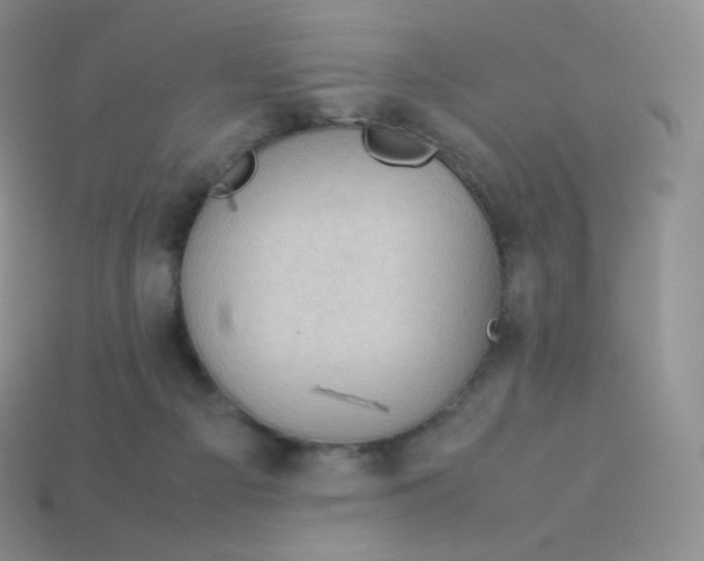 X0000113910121200910151426