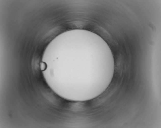 X0000113910122200910151426